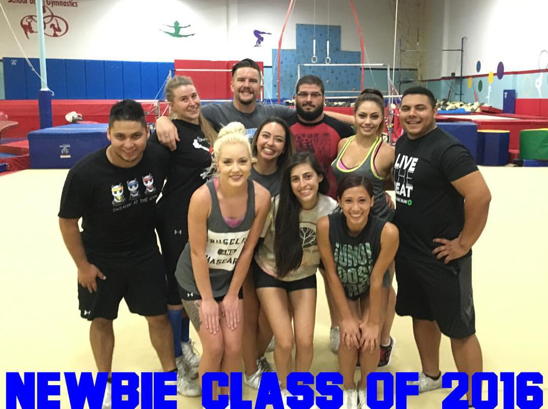 newbies 2016